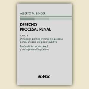 DERECHO PROCESAL PENAL. Tomo II: Dimensión político-criminal del proceso penal. Eficacia del poder punitivo. Teoría de la acción penal y de la pretensión punitiva - Alberto Binder