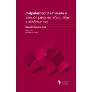 Culpabilidad disminuida y sanción penal en niños, niñas y adolescentes - Daniela Romina Part