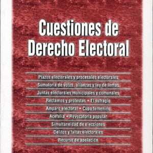 Cuestiones de Derecho Electoral - Vidal, Marta E. - Pitaro, Hugo
