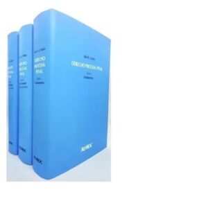 DERECHO PROCESAL PENAL 3 TS - MAIER