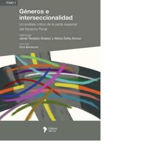GÉNEROS E INTERSECCIONALIDAD UN ANÁLISIS CRITICO DE LA PARTE ESPECIAL DEL DERECHO PENAL  TOMO 1- ALVAREZ- ALONSO