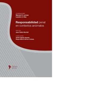 RESPONSABILIDAD PENAL EN CONTEXTOS ANÓMALOS - DIRECTOR JUAN MONTIEL