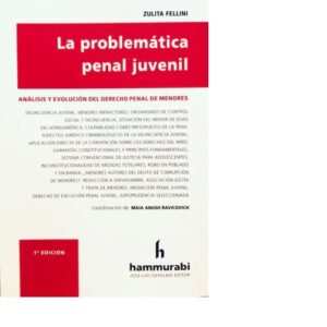 PROBLEMÁTICA PENAL JUVENIL - ZULITA FELLINI