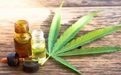 Cannabis y salud pública: La Cámara Federal resuelve conflicto de competencia y confirma que el REPROCANN debe tratarse como una cuestión de salud pública en el fuero civil