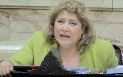 “Impacto de la Reforma Ley Ómnibus: Yutrovic Alerta sobre Soberanía y Futuro Económico”