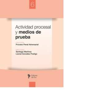 COLECCIÓN PROCESO PENAL ADVERSARIAL - ACTIVIDAD PROCESAL Y MEDIOS DE PRUEBA : TOMO VI - SANTIAGO MARTINEZ - GONZALEZ