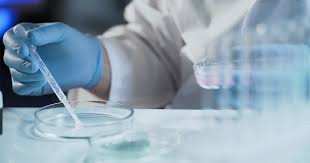 Fertilización Asistida: Derechos y consentimientos tras la separación