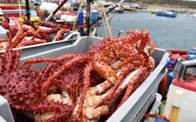 Se reglamentó la Ley 931 Captura de Lithodes Santolla (Centolla) y Paralomis Granulosa (Centollón). Regulación en aguas del Canal Beagle de jurisdicción provincial.