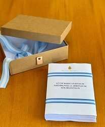 Como salió la Ley Bases del Senado?