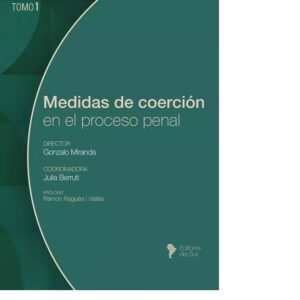 MEDIDAS DE COERCIÓN EN EL PROCESO PENAL  TOMO 1 MIRANDA GONZALO (Dir )