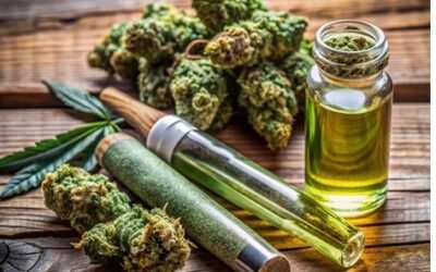 La Cámara Federal de Comodoro exige diplomatura al profesional para prescribir cannabis en el marco del REPROCANN