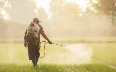 Condena penal confirmada por uso imprudente de pesticidas y negligencia fatal.
