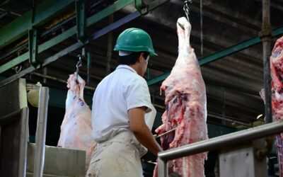 SENASA autoriza parcialmente el ingreso de carne con hueso a la Patagonia tras más de dos décadas