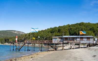 La Cámara confirma nulidad y valida pericia por tala y camino en Parque Nacional de Tierra del Fuego