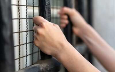 Nueva “Ley penal juvenil” incorpora principios de resocialización